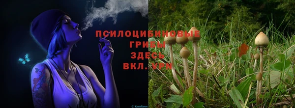 дживик Белая Калитва
