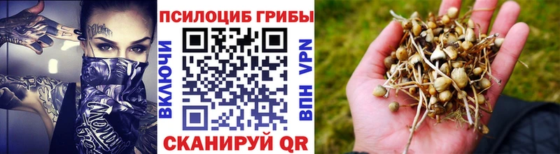 Псилоцибиновые грибы ЛСД  OMG ONION  Кимры  сколько стоит 